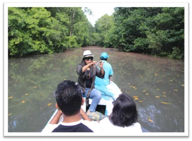 Mangrove 2