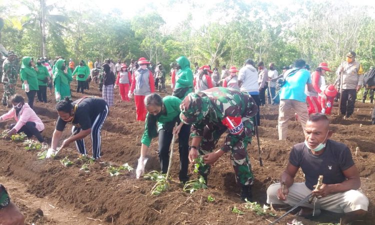 Tni polri di pulau kei bersinergi jaga ketahanan pangan dengan berkebun