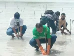 Partai kebangkitan bangsa ( pkb ) kabupaten maluku tenggara, sabtu ( 25/03/2021 ) melaksanakan penanaman ratusan pohon anakan manggrove ( bakau ) dan pembersihan sampah plastik di pantai wisata pasir panjang, ohoi ngilngof, kepulauan kei