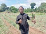 Mantan-jurnalis-kota-tual-dan-malra-yang-menyulap-lahan-tidur-menjadi-areal-produksi-bawang-merah