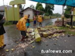 Gapura pintu masuk desa vatraan ambruk