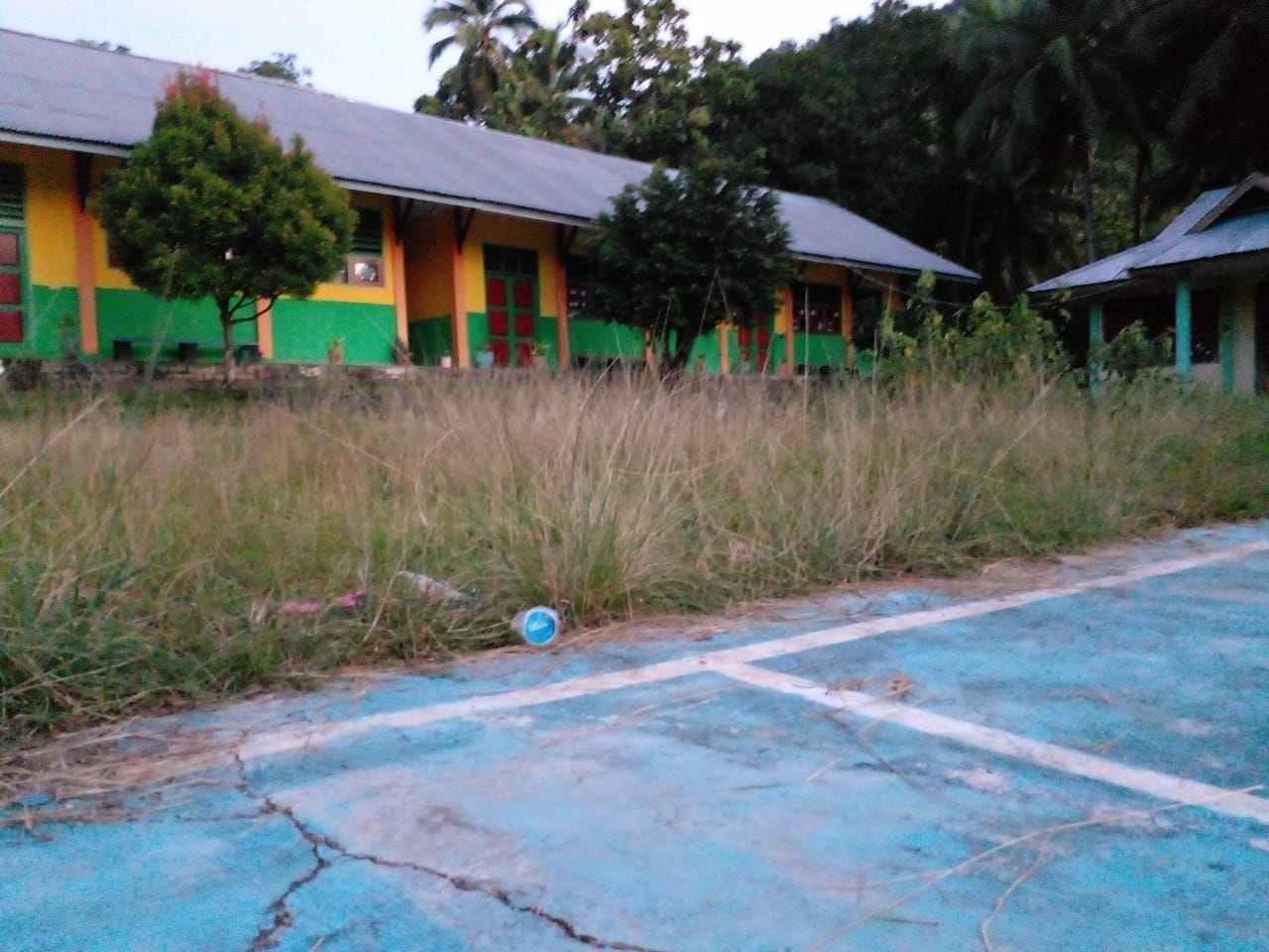 Ini kondisi gedung sekolah sd inpres hako , kabupaten maluku tenggara yang ditumbuhi rumput karena kepsek dan guru lari meninggalkan tugas selama sembilan bulan lamanya